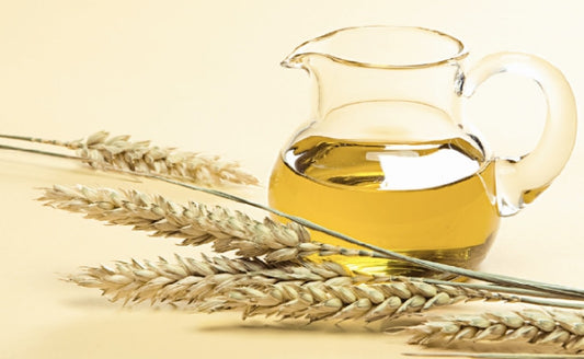 The Amazing Health Benefits of Wheat-Germ Oil