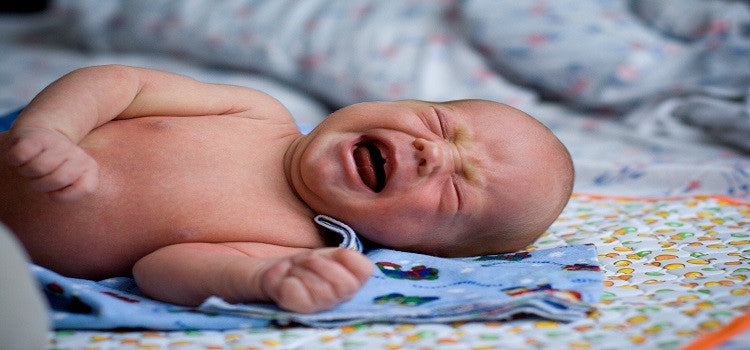 Is Your Baby Irritable? Check for Bugs or Insects!