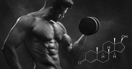 Prohormones for Muscle Building: What You Need to Know?