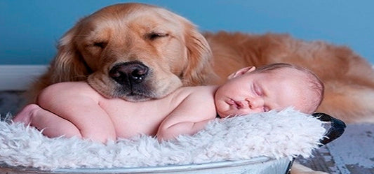 Managing Babies and Pets