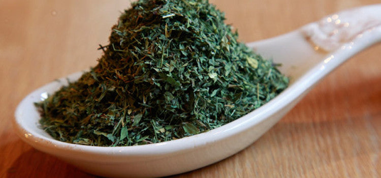 Find Out Why Alfalfa Is Considered The Father Of All Foods!