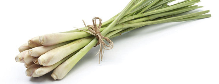 6 Amazing Benefits Of Lemongrass You Need To Know
