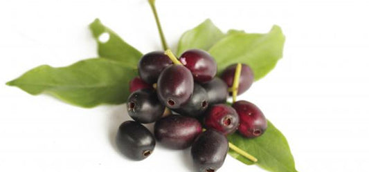 5 Amazing Health Benefits Of Jamun