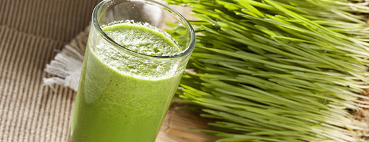 Is Wheatgrass a Part of Your Diet? It better be!