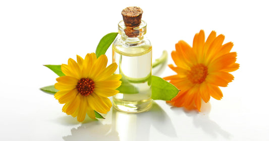 Essential Oils: How Beneficial These Oils Are