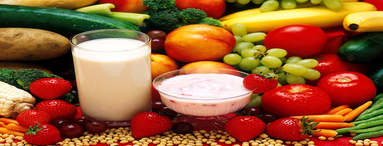 High Protein Diets And Benefits