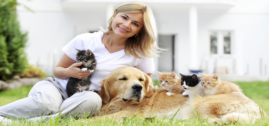 What Pet Will Suit Your Lifestyle