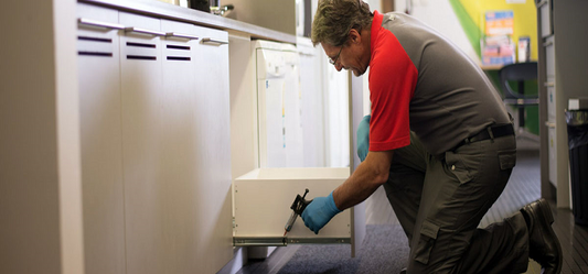Anti-Cockroach Products at Your Doorstep to Eliminate Pesky Pests