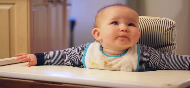 Tie The Bibs Around The Neck And Feeding Just Go Easy
