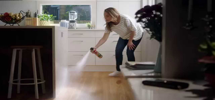 Erase the Hint of Disease Causing Cockroaches with the Anti-Cockroach Products