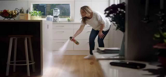 Erase the Hint of Disease Causing Cockroaches with the Anti-Cockroach Products