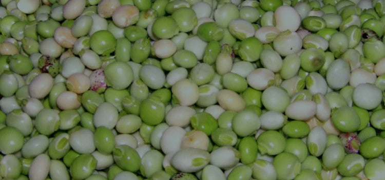 Having Organic Urad Dal regularly increased my milk production to feed my baby well