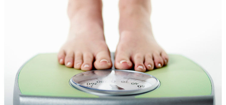 My daily protein intake during weight loss was met after including Organic Daliya for breakfast