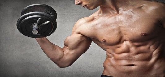 How To Gain Muscle: By Herbal Supplements