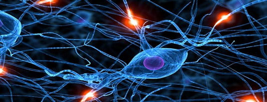 How to Increase Memory Retention Power with Natural Memory Boosters