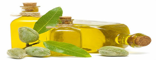 What all you need to know about carrier oils