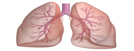 How to keep lungs happy?