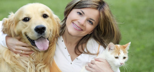 5 Exercises to Keep Your Doggy Healthy