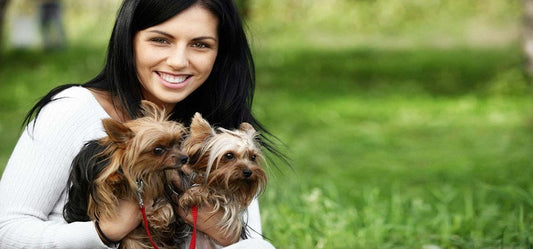 Why routine vet visits are important for your pet