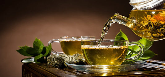 Why is Green Tea Popular
