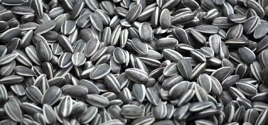 Edible Seeds Which Are Just Right For You