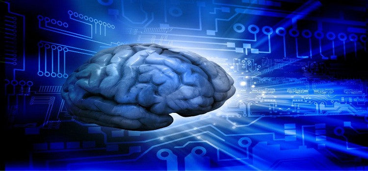 Want To Charge Brain Cells Naturally
