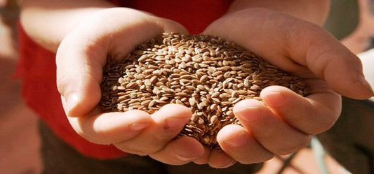 The Nutritional Benefits of Flax Seeds