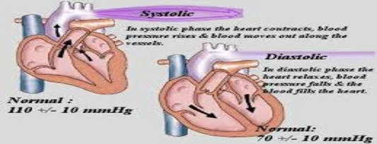 5 Ways to Regulate Your Blood Pressure Organically