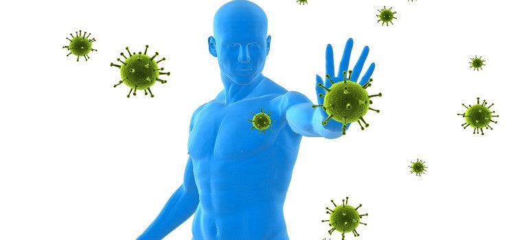 Low Immunity Causes To Maladies? Know The Organic Boosters