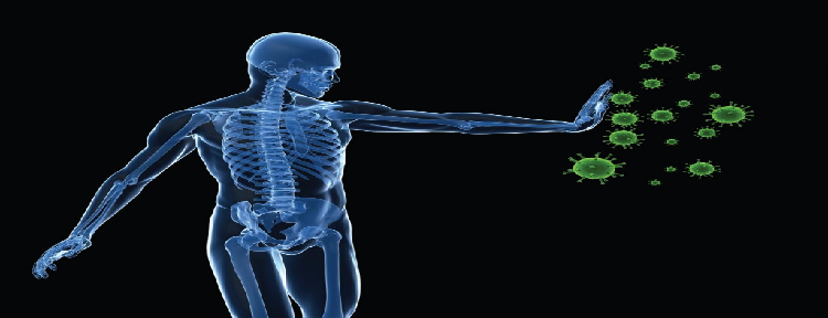Best Organic Products to Increase Immunity Power Safely