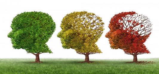 Do Not Let Alzheimer’s Scare You, Try Natural Cures Instead