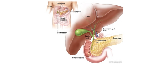 5 Ways to Take Care of Your Liver with no Side Effects