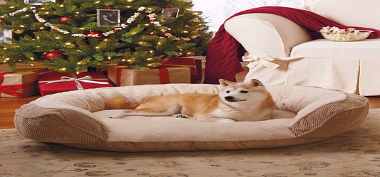 The best pet safety equipments for your home