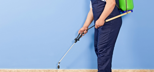 Pest control for all households