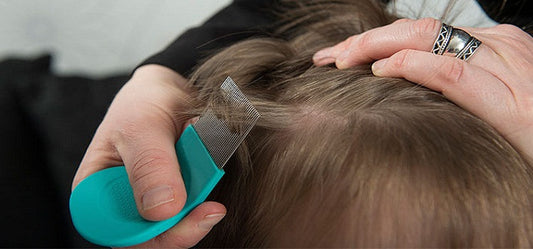 Dealing With Lice