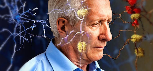 Treating Alzheimer's With Simple Organic Food