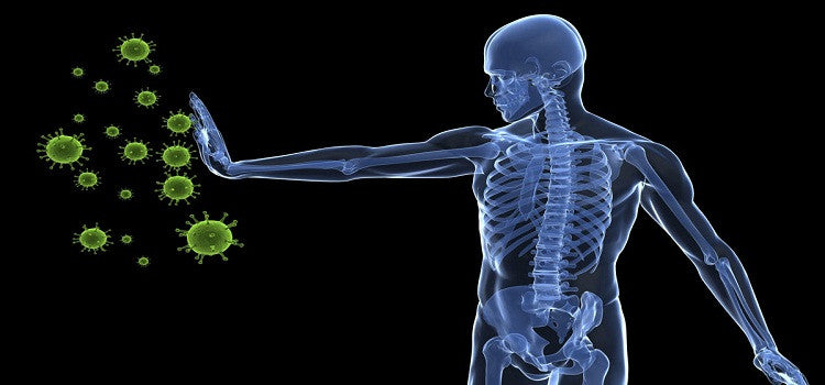 How To Boost Your Immune System Organically?