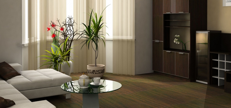 Pest control for a healthy household