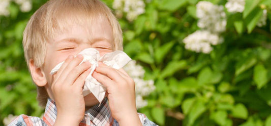 Herbal Remedies to Cure Pneumonia