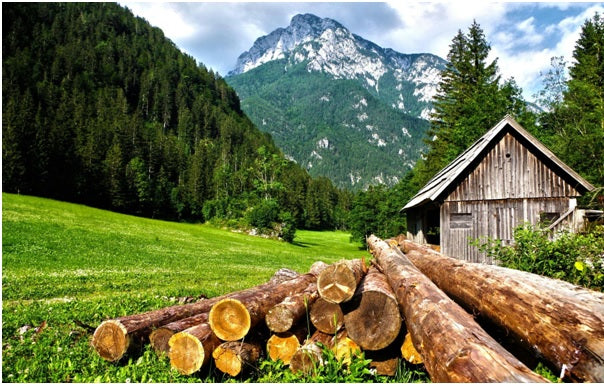 The Ultimate Guide to Eco-Friendly Pole Barn  Construction Techniques
