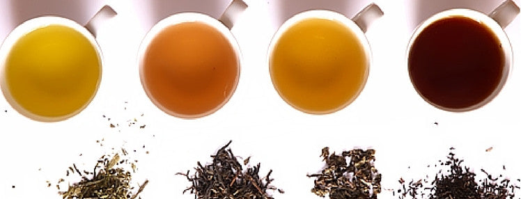 Different types of organic tea available and their benefits