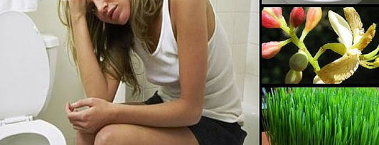 Foods to avoid for effective Pile control