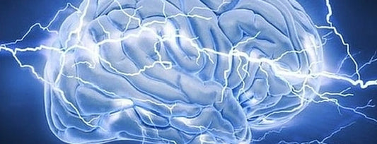 How to make your brain healthy to think fast