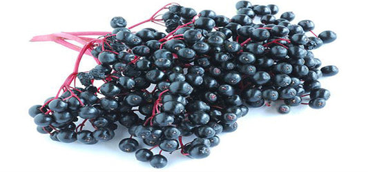 Know Your Berry - Elderberry