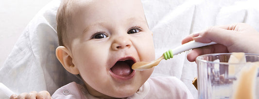 Best Baby Food Items to Choose From