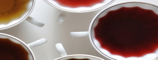 Organic and healthy teas to try out this winter