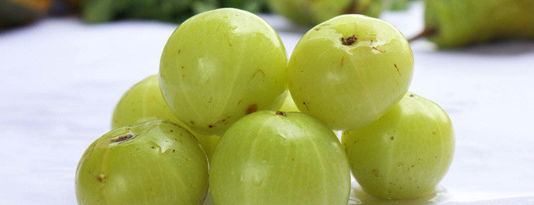 Turmeric, Amla and Brahmi as Safe and Effective Anti Wrinkle Agents