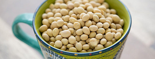 5 Reasons to Include Soy in Your Diet