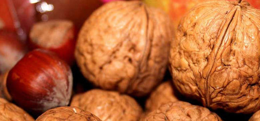 Power of Handful Dry Fruits