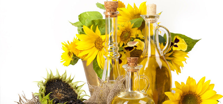 Sunflower Oil- Promoter of Good Health